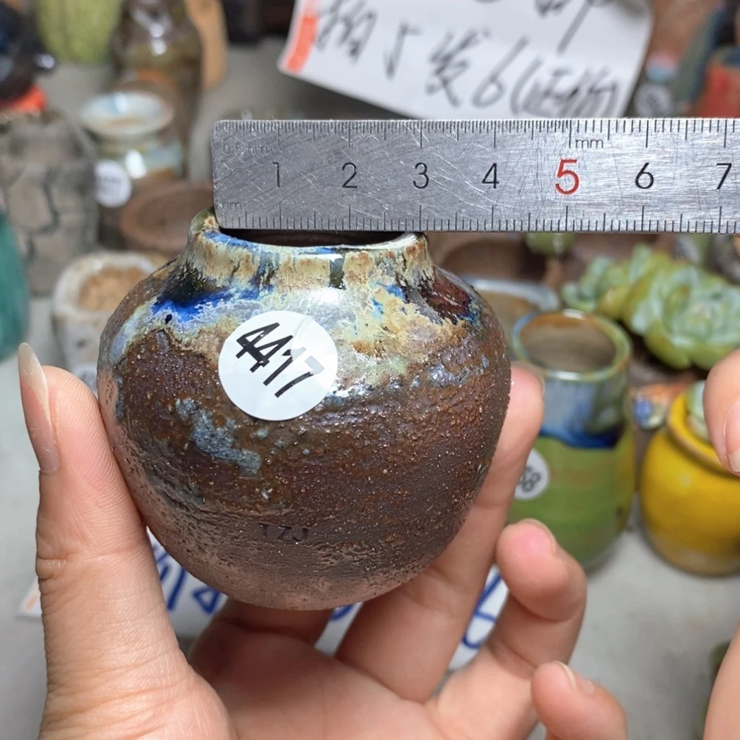 拍5送一个小礼物