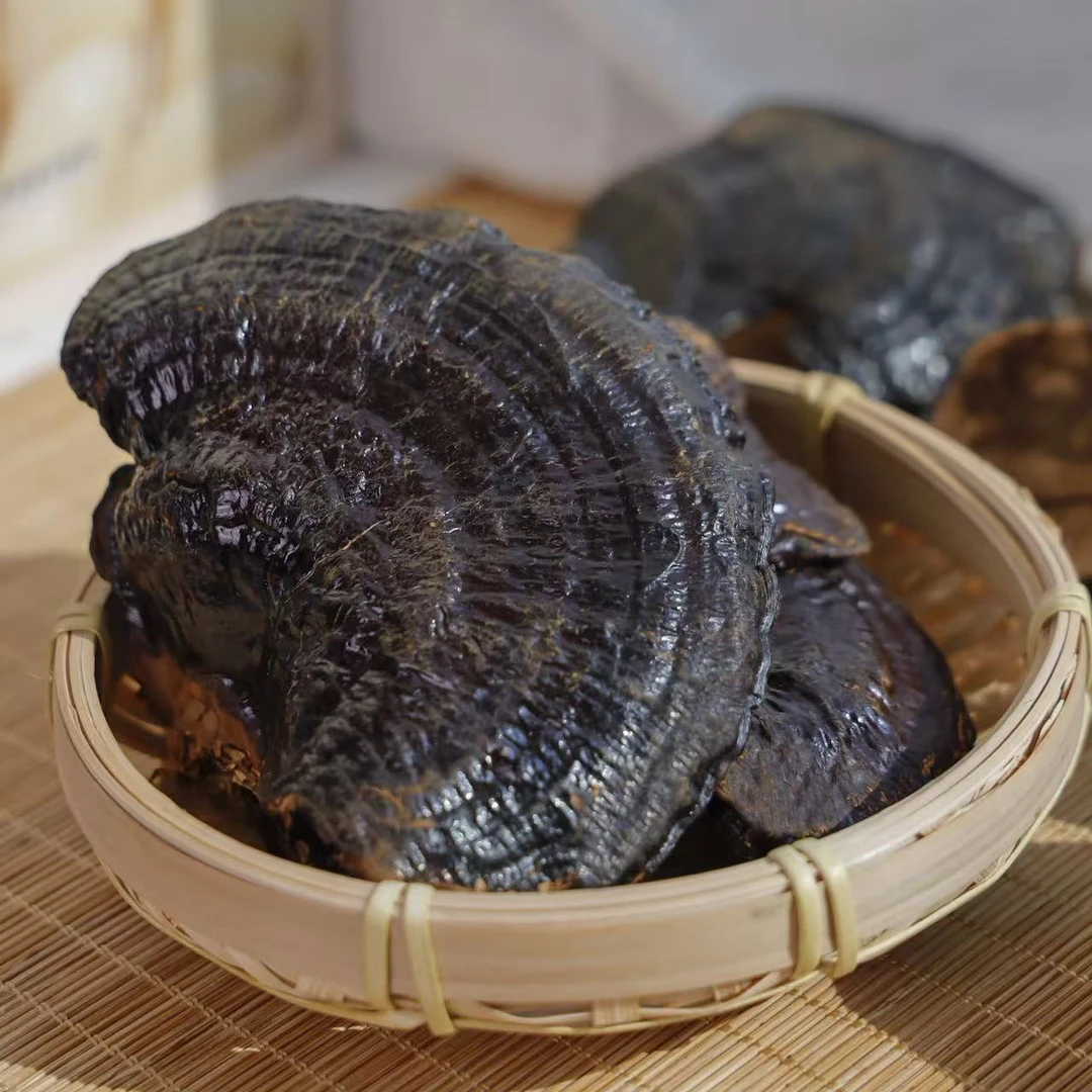 黑灵芝土货切片煲汤