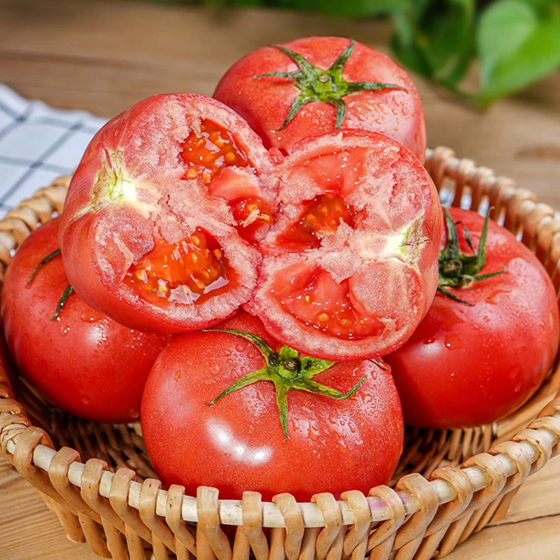 【产地直发】正宗陕西泾阳普罗旺斯西红柿番茄生吃水果坏果包赔酸甜