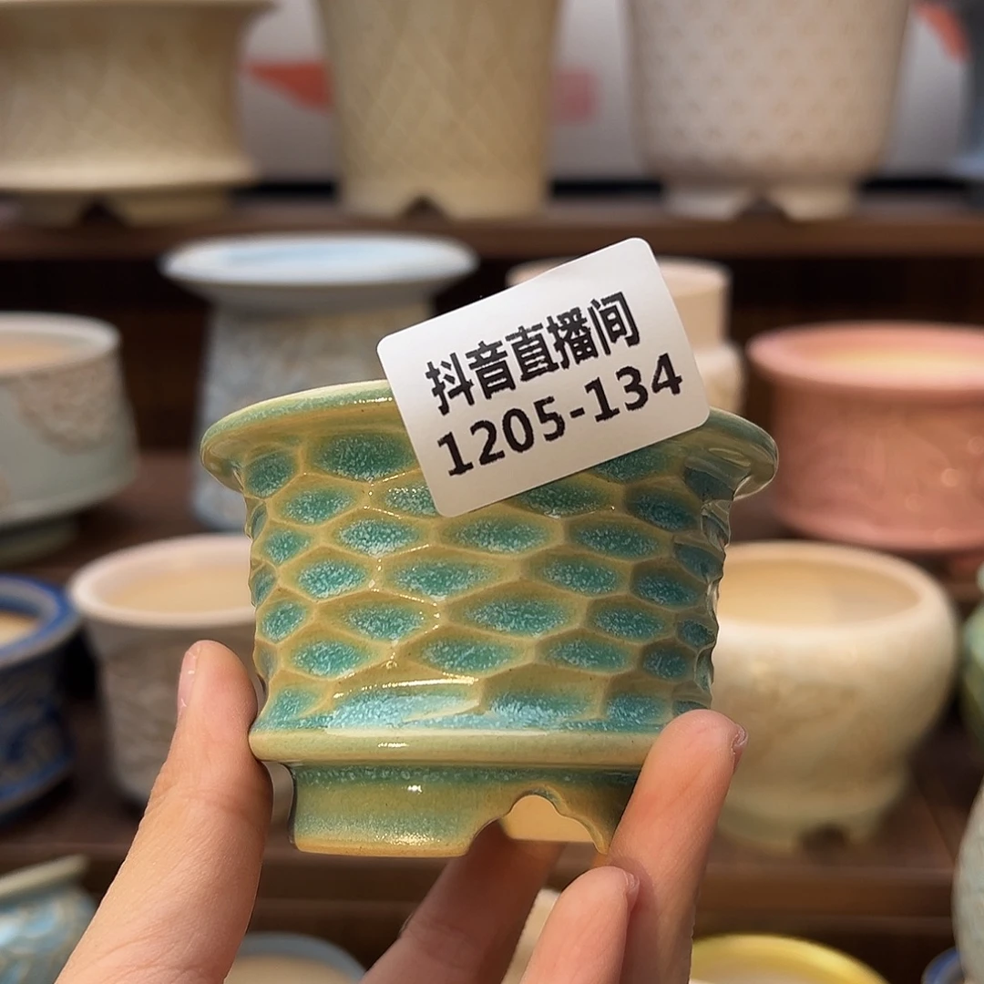 1205-134  内口6 A