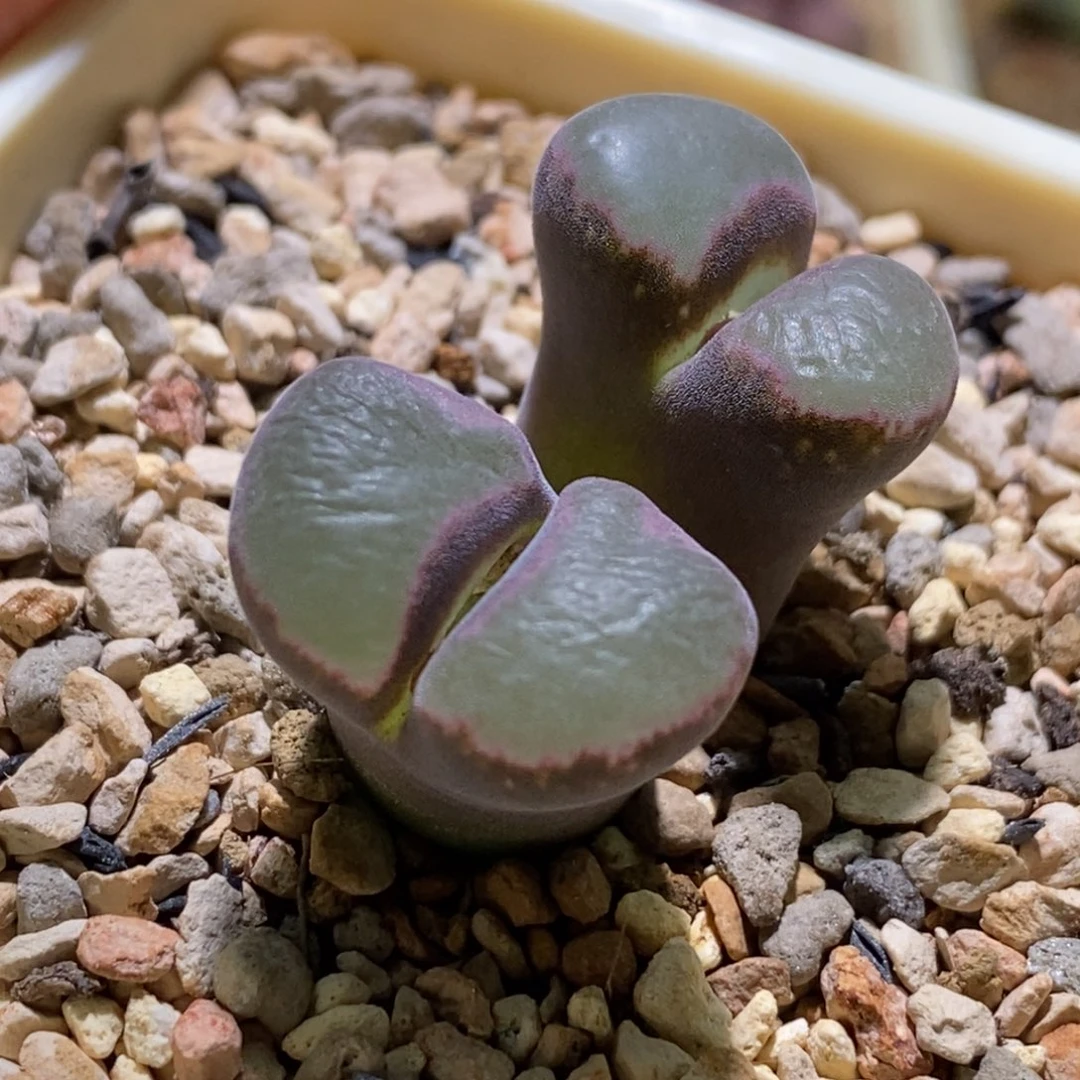 好看好看好看好看好看