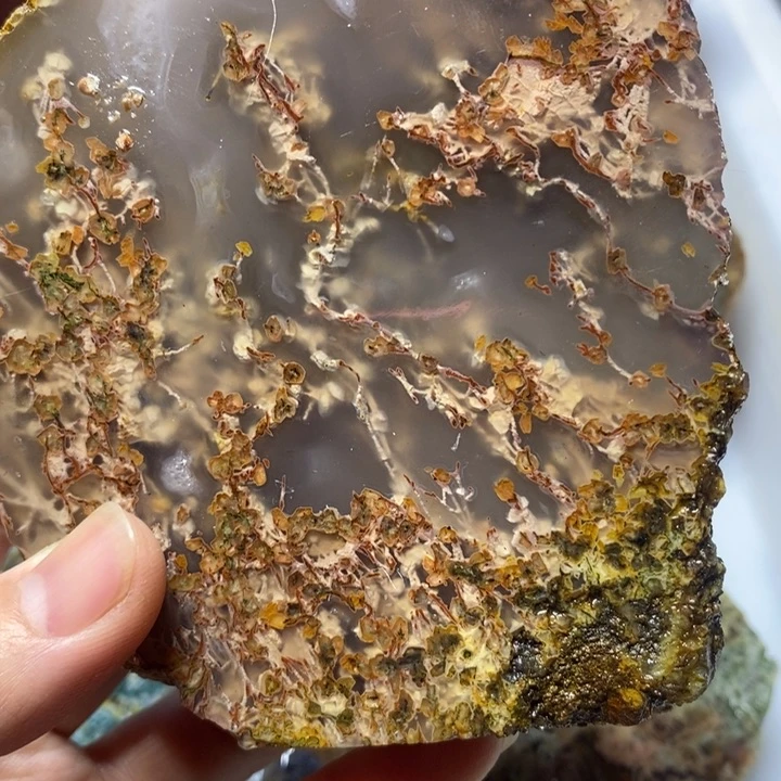 定制玛瑙董**豆手镯定制56