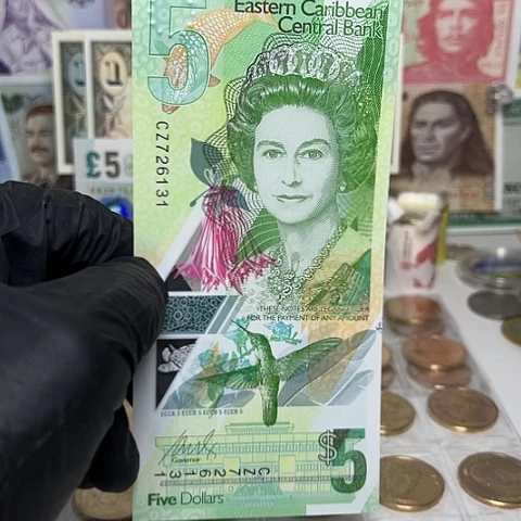 纸币东加勒比塑料钞一张