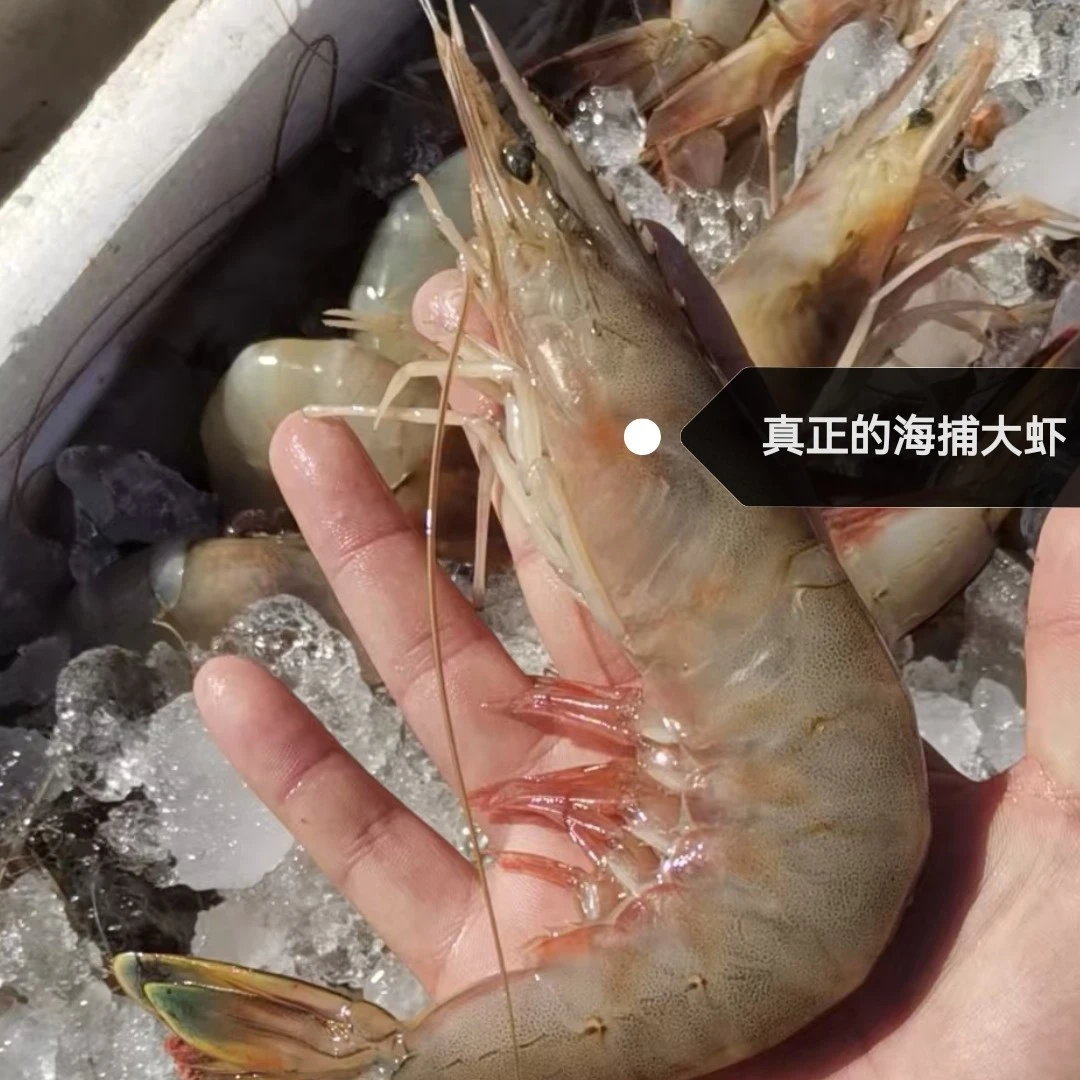 莱州海捕大虾，莱州地方特产口感鲜甜，一盒一斤，一斤七到八只