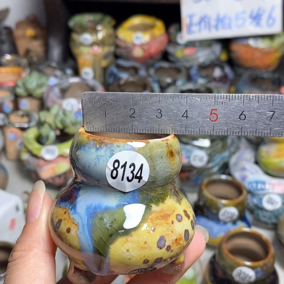 拍5送一个小礼物