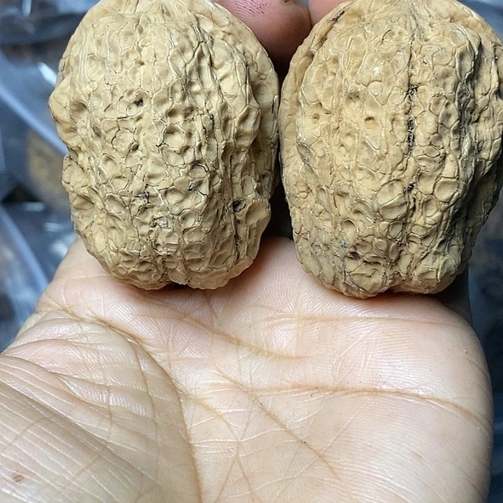 把件文玩核桃云南铁核桃80