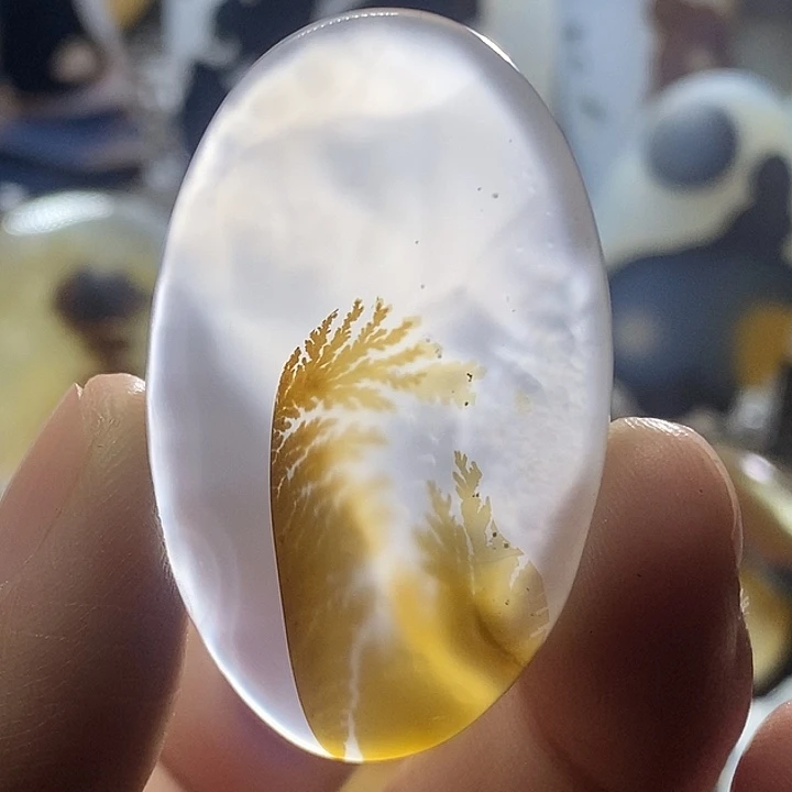 未镶嵌颈饰玛瑙/玉髓寄*