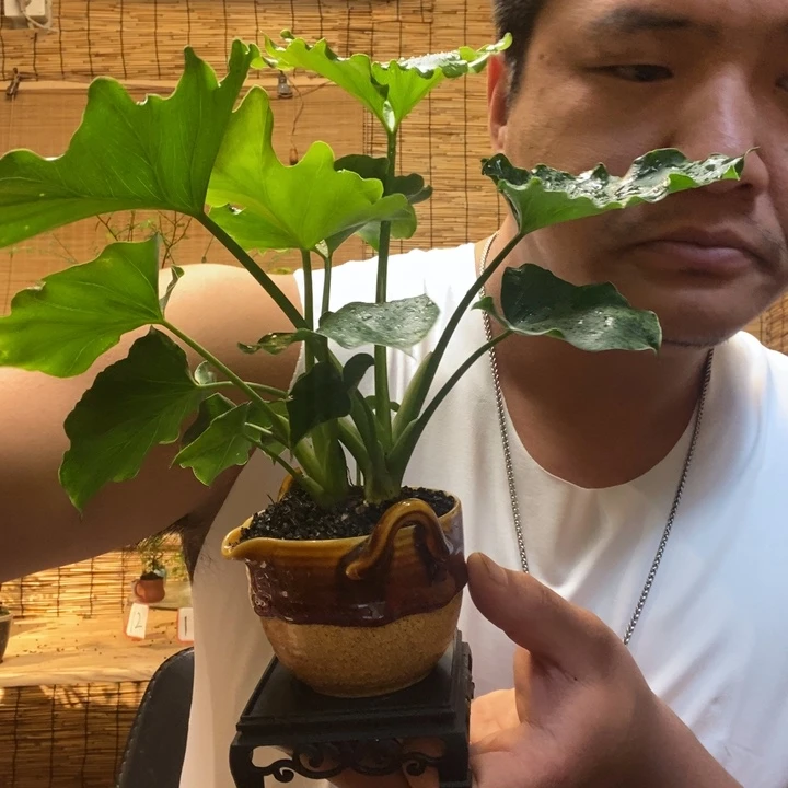 微*～一物一拍所见即所得524