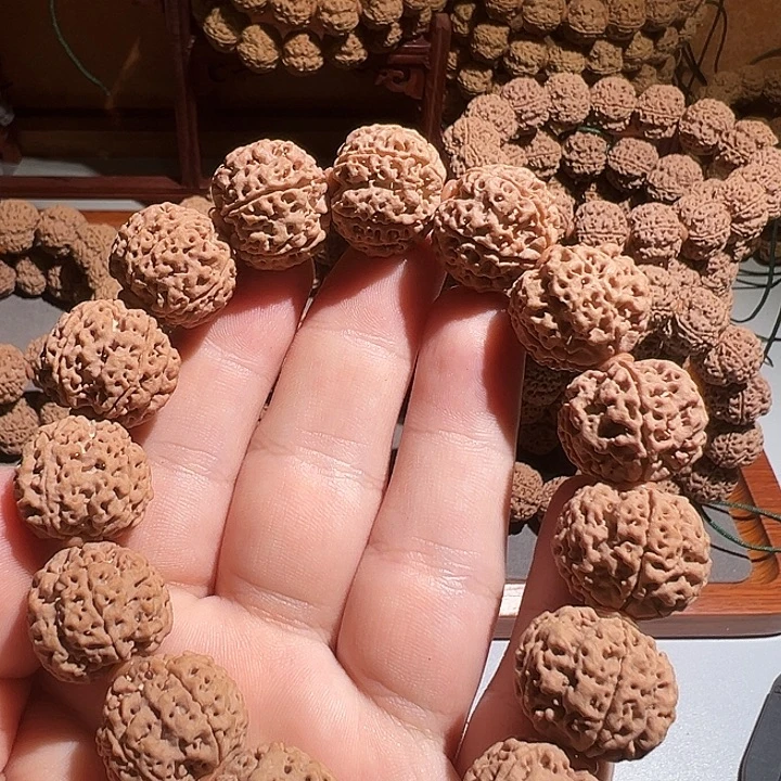 金刚菩提吊坠20安娜红皮蜂王