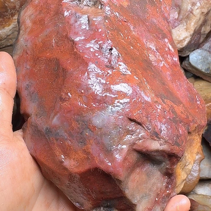 陈***翔寿山石寿山石的颜色