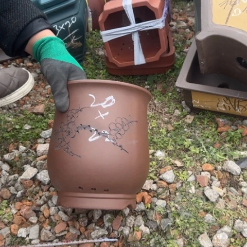 紫砂花盆紫砂花盆盆景盆栽