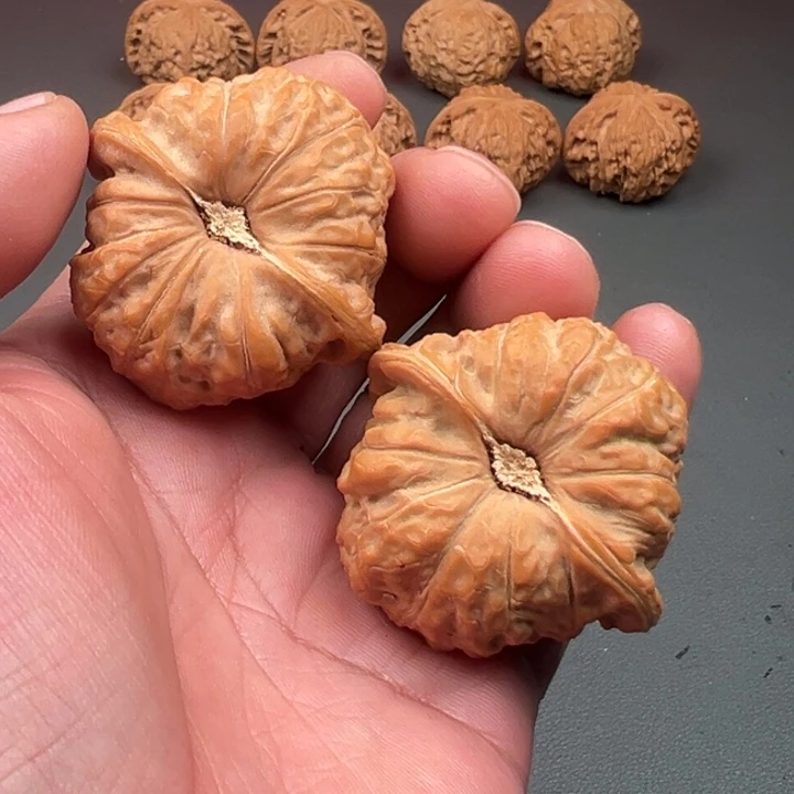 小***.大叶紫檀（黑酸枝木类）南瓜敦狮子头核桃