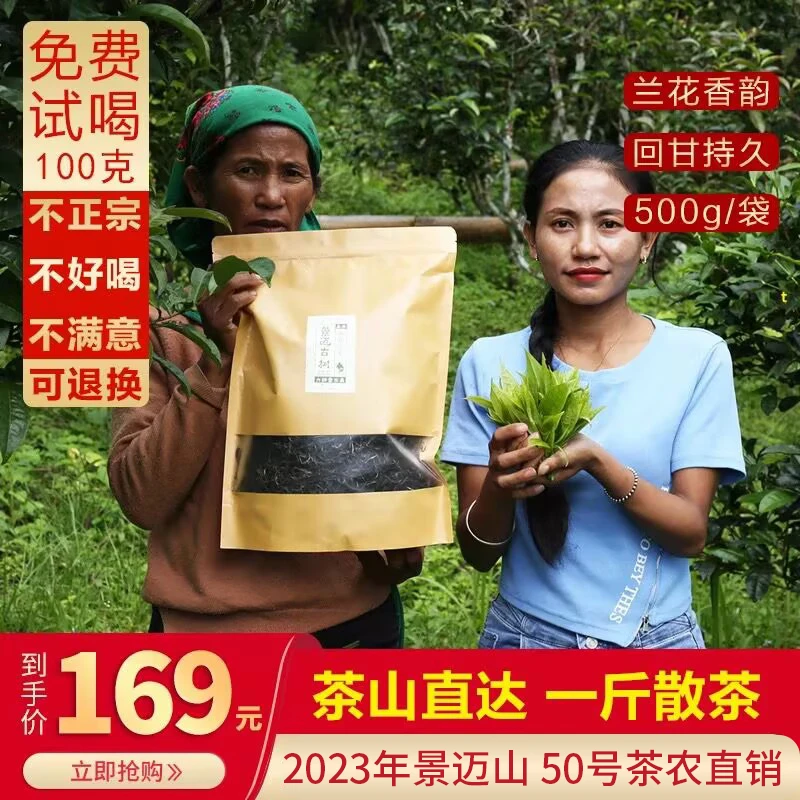 景迈山50号古树生茶500g/装袋 云南茶农传统手工原生态普洱茶散茶