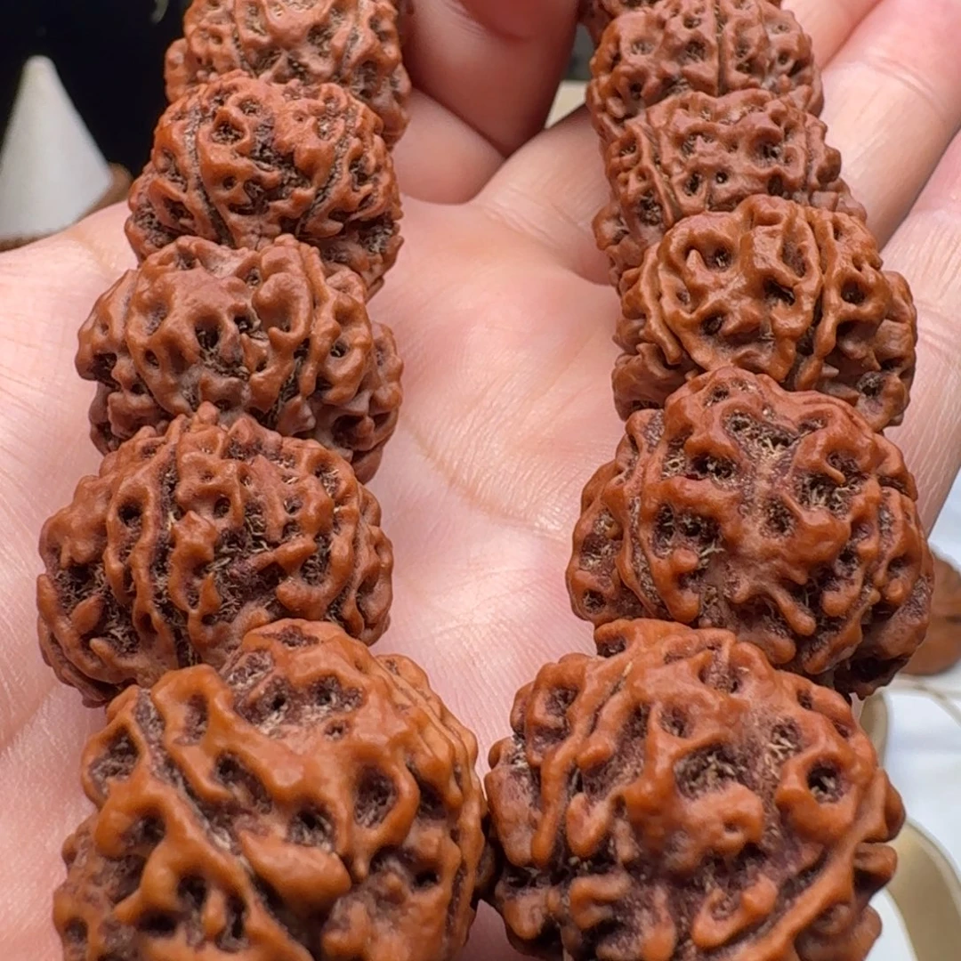 手串金刚菩提深坑蜂窝
