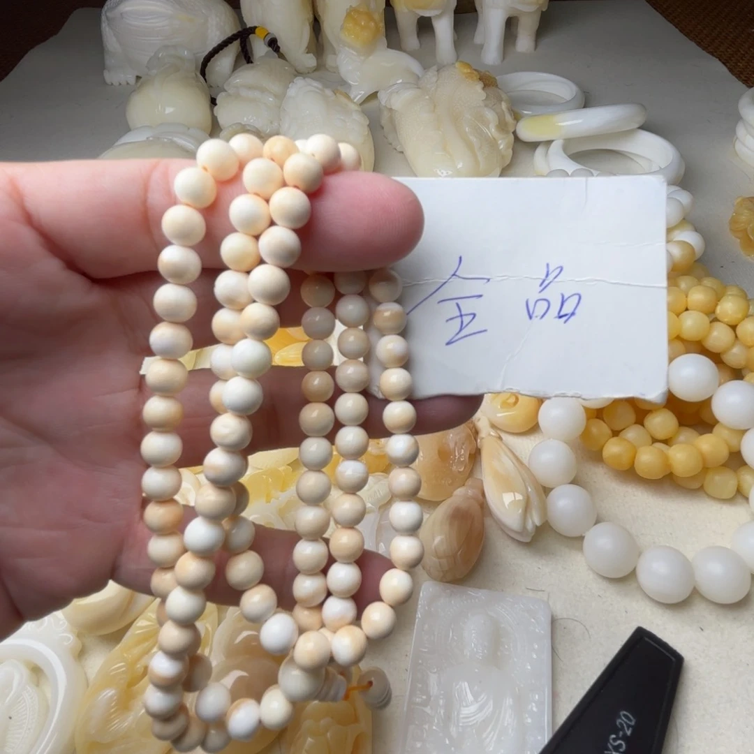 非金属贝壳卡6全品