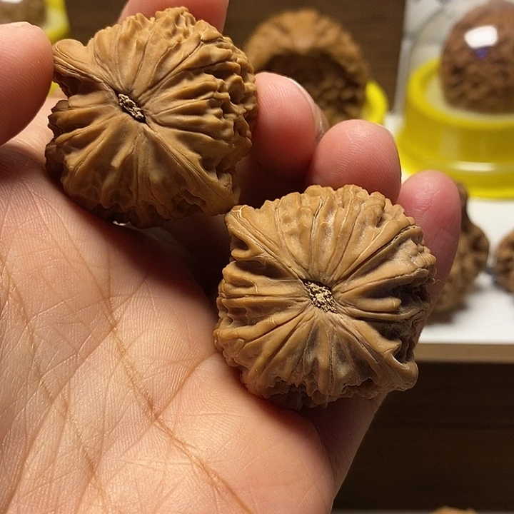 文玩核桃把件39山地磨