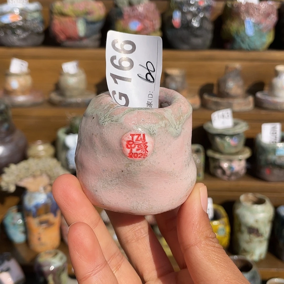坛子姐花盆 子彧孤品 内口2.5