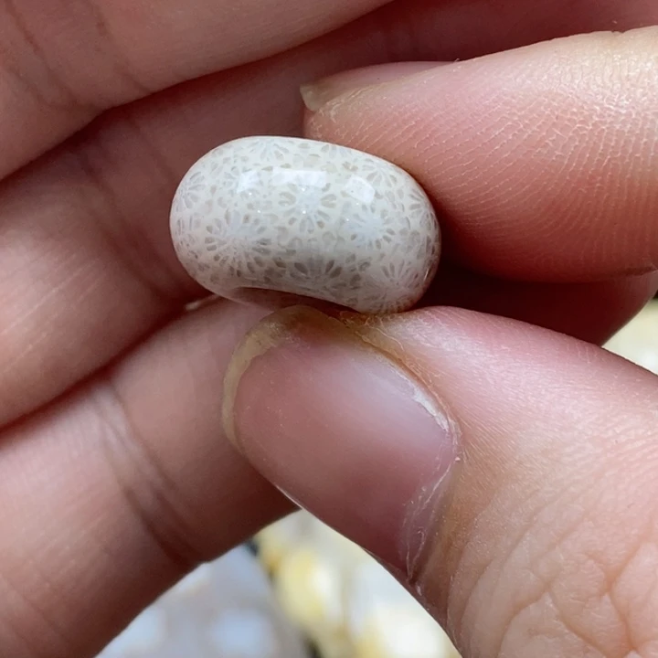 硅化珊瑚（珊瑚玉）颈饰未镶嵌周*