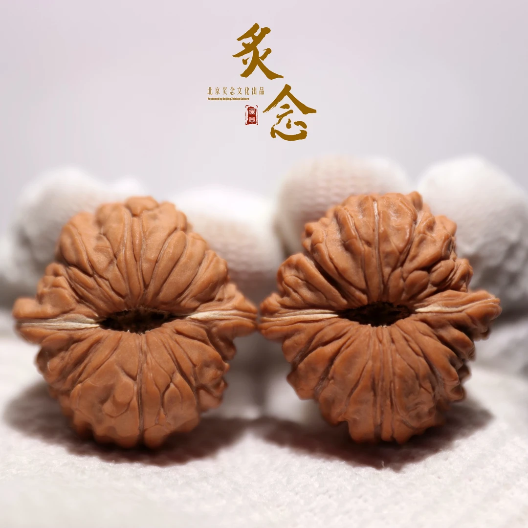 冠绝楼 · 35-35-31 一物一图 文玩好物 菊花底