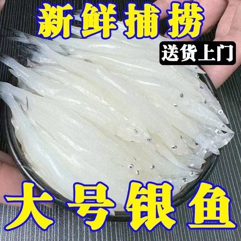 查干湖镇雪姐野生大银鱼