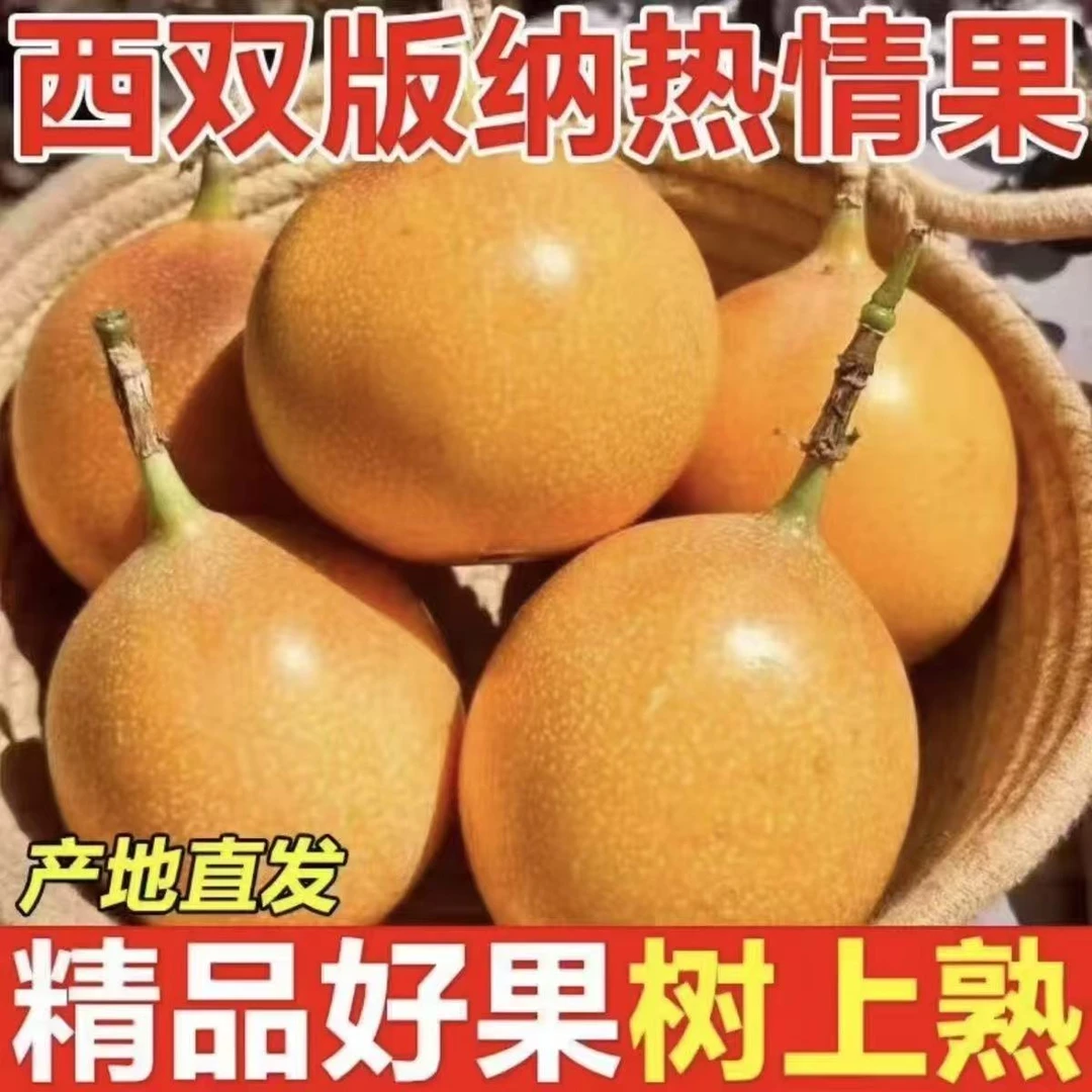 云南热情果新鲜采摘香甜多汁热带水果现摘耙耙柑现发顺丰包邮
