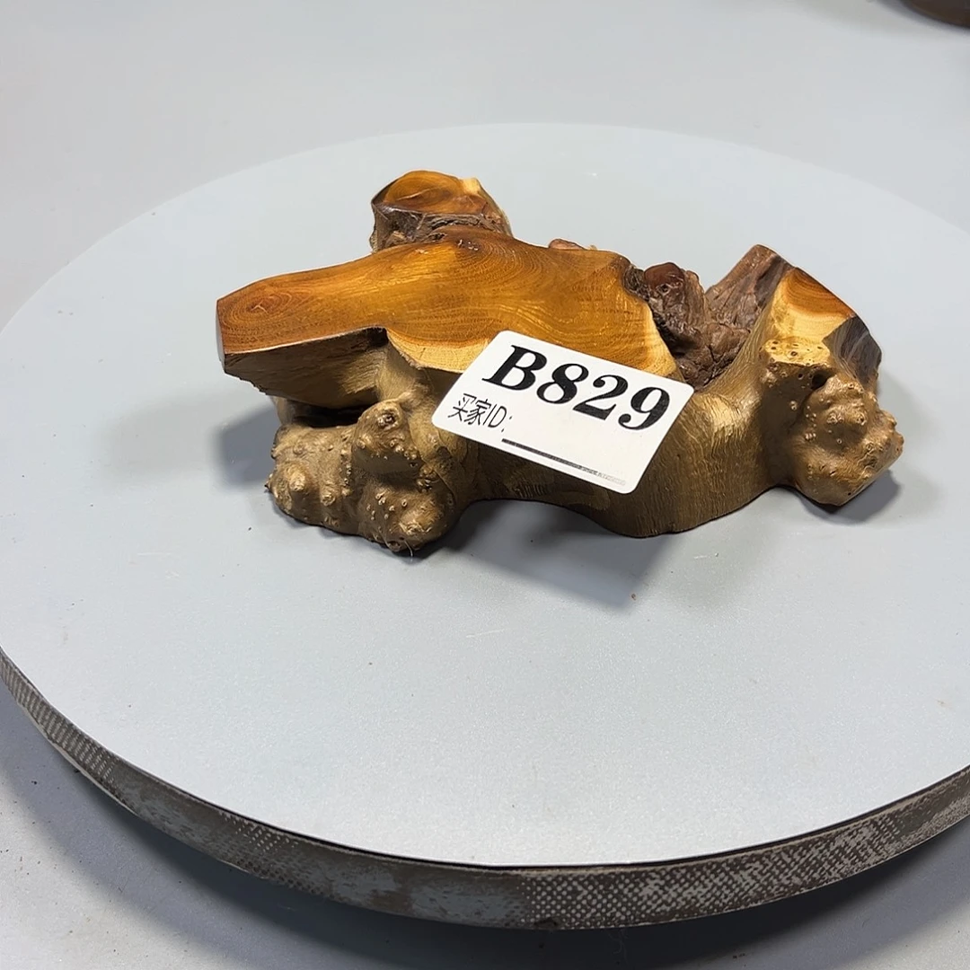 大果紫檀（缅甸花梨）脚****)