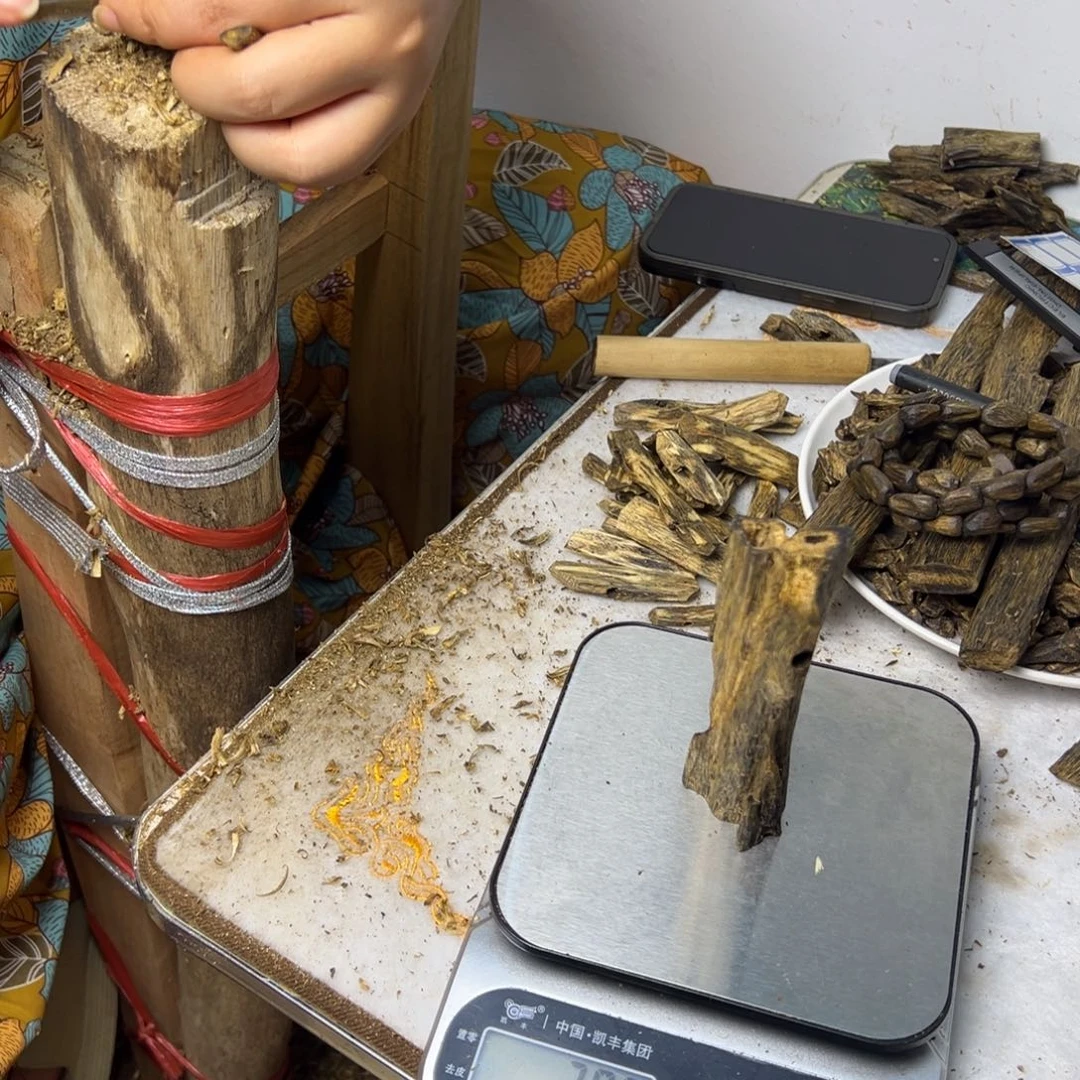 线香奇楠虫漏香30克