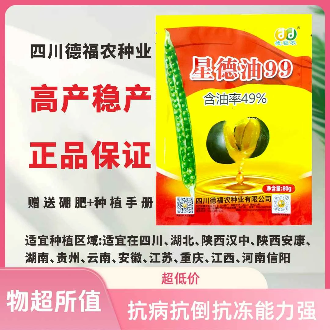星德油99大田油菜抗病抗倒抗冻油菜种子高产油菜油菜种子大颗粒