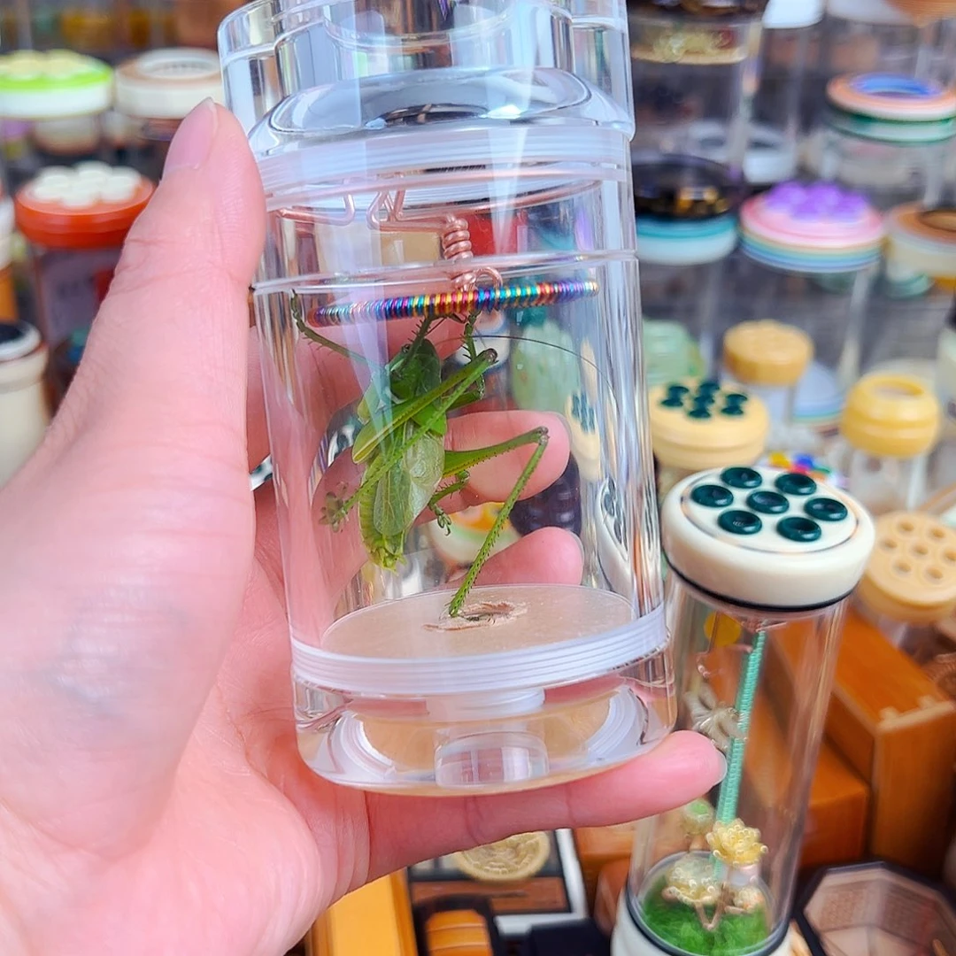 木老王60罐➕彩簧➕翡翠绿