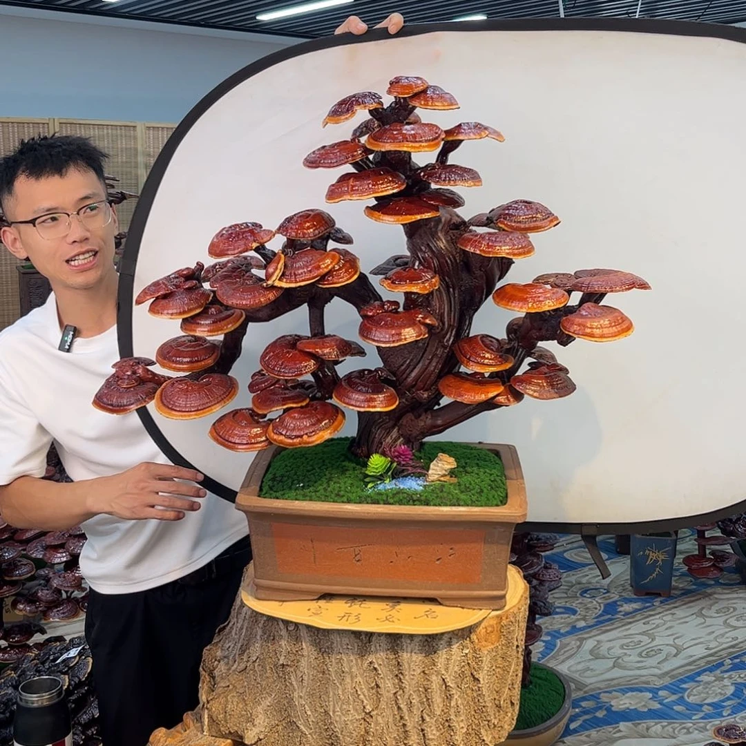 无花朵88888888888888