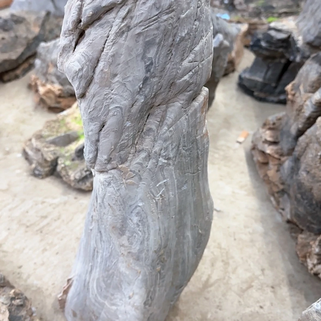 【闪购商品】香榧木S***r这样才可以的感觉很开心自己