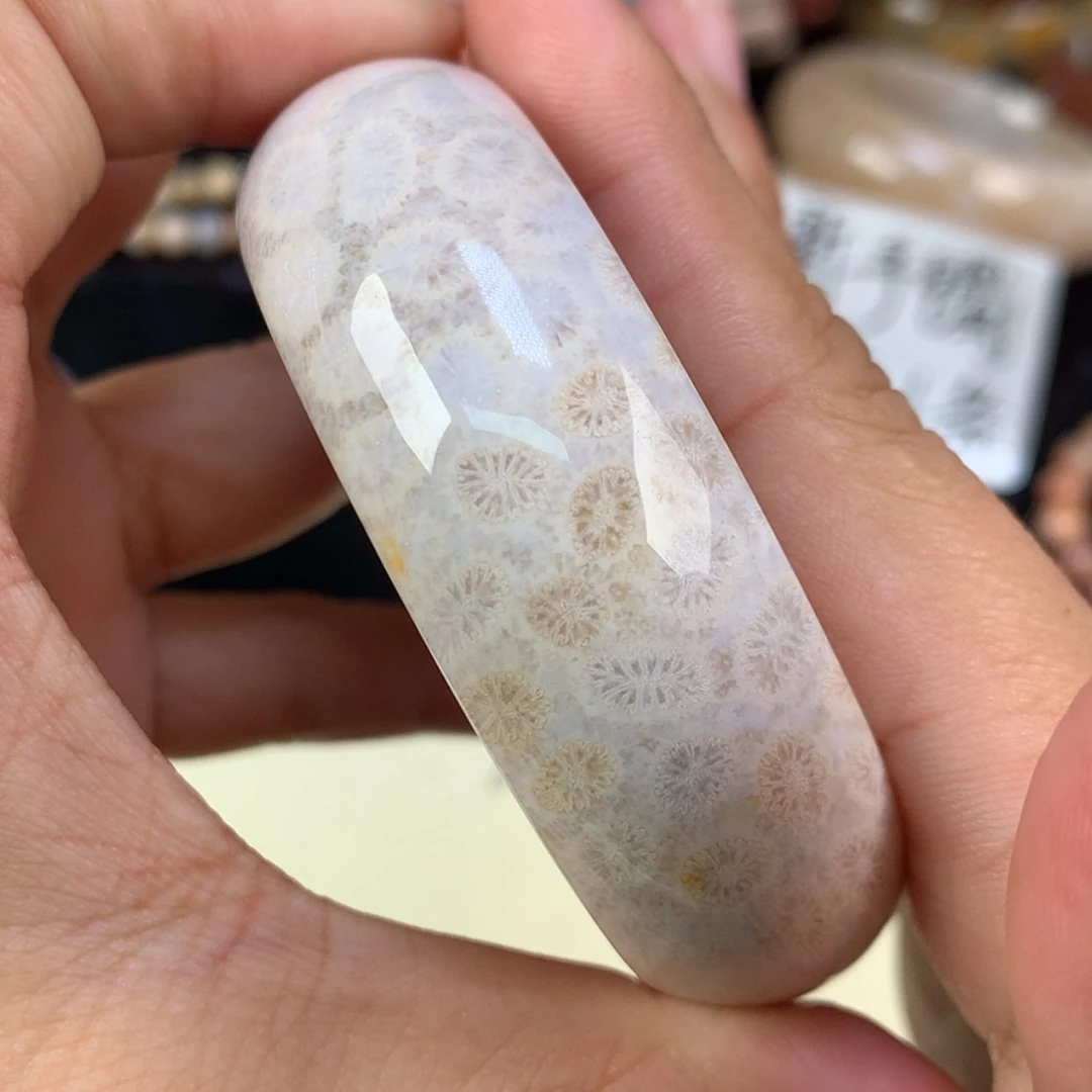 【闪购商品】颈饰未镶嵌硅化珊瑚（珊瑚玉）23号上新54.8圈