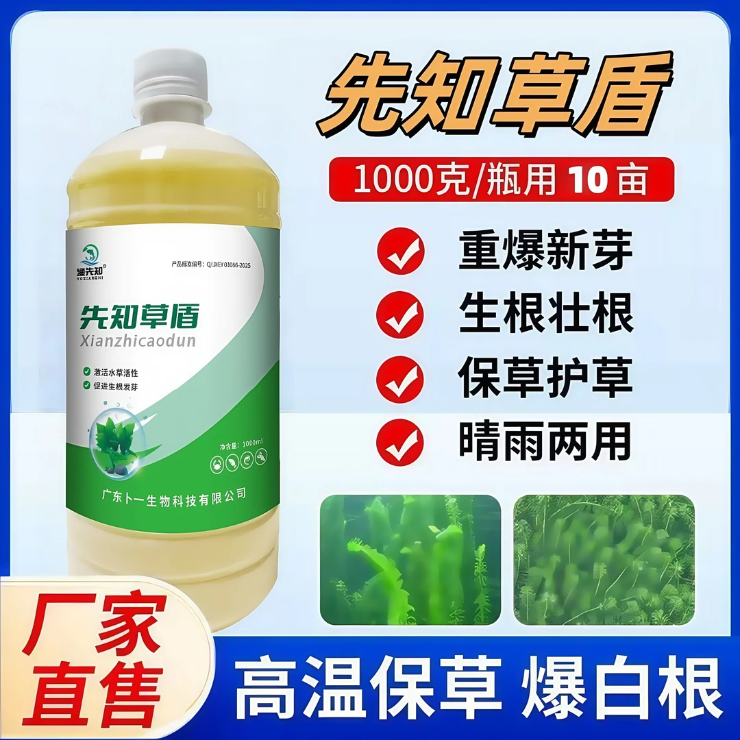 渔先知先知草盾水草大救星高温保草促进水草生根发芽加强型保草
