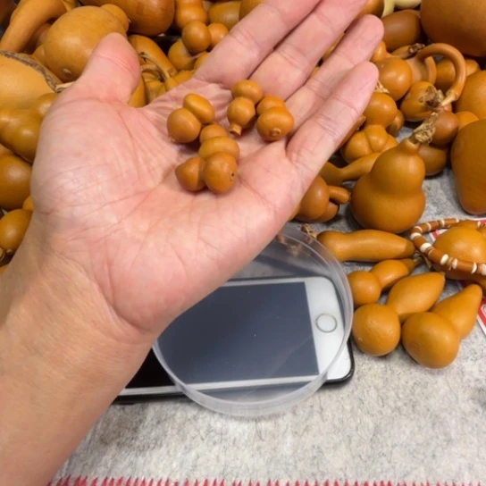 ****姐小姐姐的五把钱袋子五把钱带走