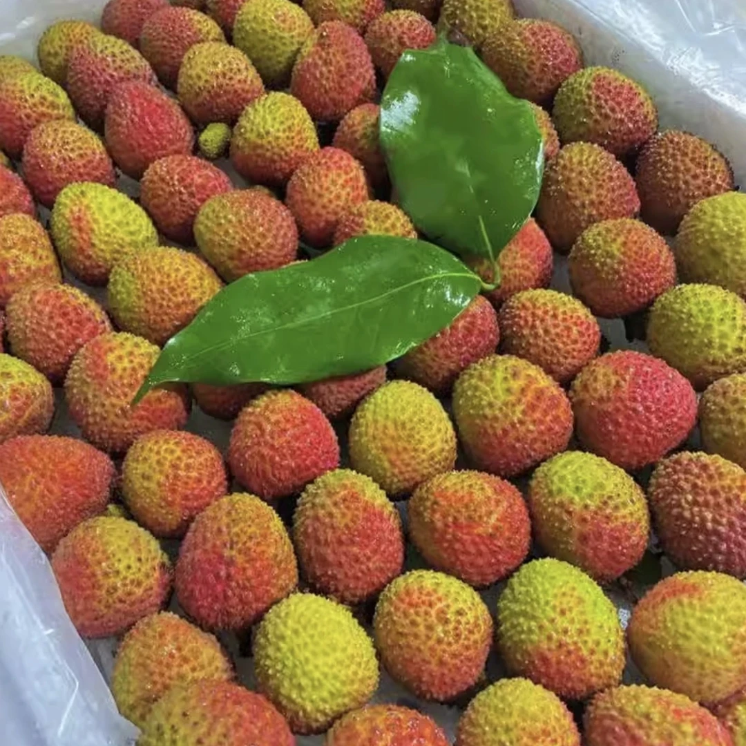 【京东冷链】高州荔枝妃子笑 老广的味道 当季新鲜水果 皮薄肉厚汁水多5斤 9斤广东省