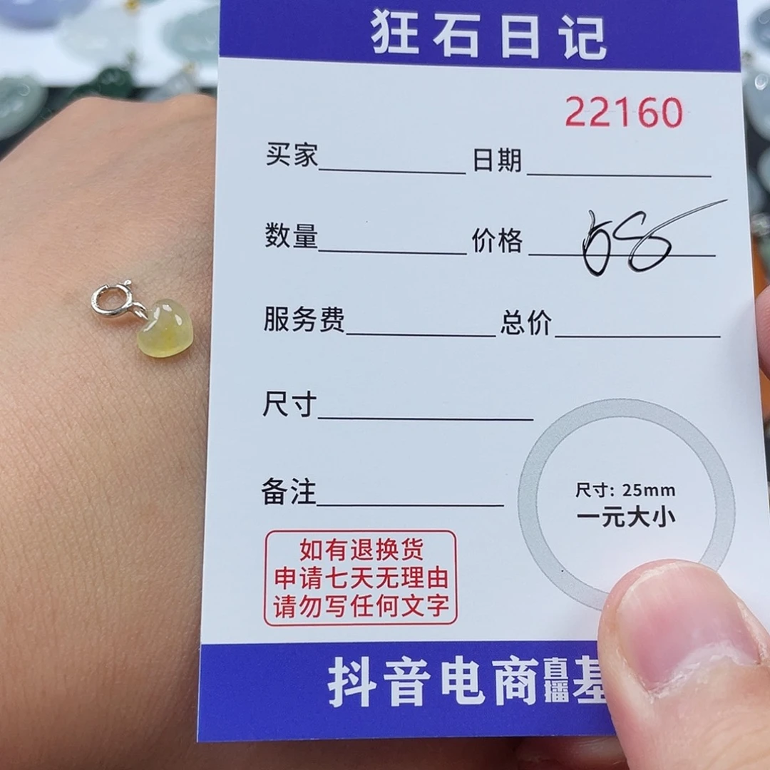 翡翠银S925镶嵌颈饰