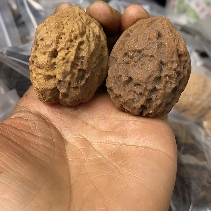 核桃云南铁核桃基地70