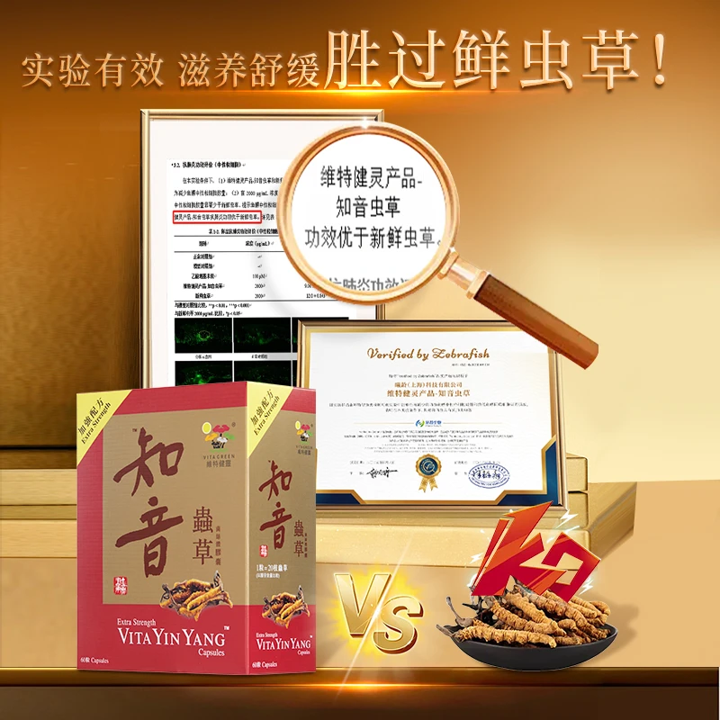【郭少芸专属】Vita Green/维特健灵知音虫草60粒/盒*