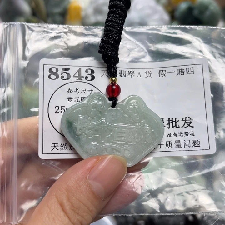 翡翠未镶嵌颈饰8543