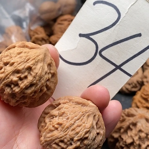 桃核吊坠37全品平谷寿桃