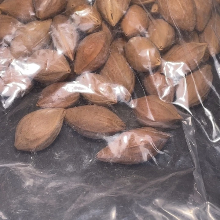 用***6吊坠橄榄核不退不换