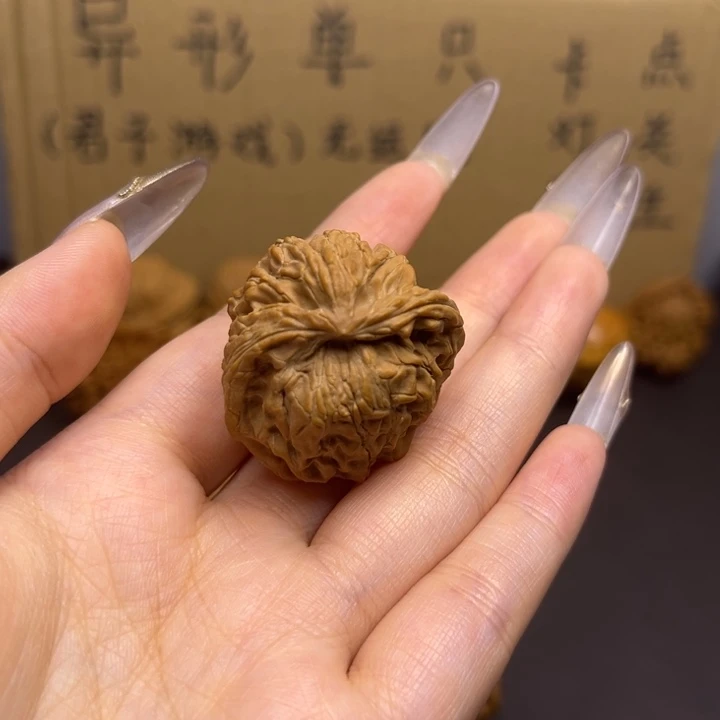 时***间菩提籽类蛇单只异型有瑕