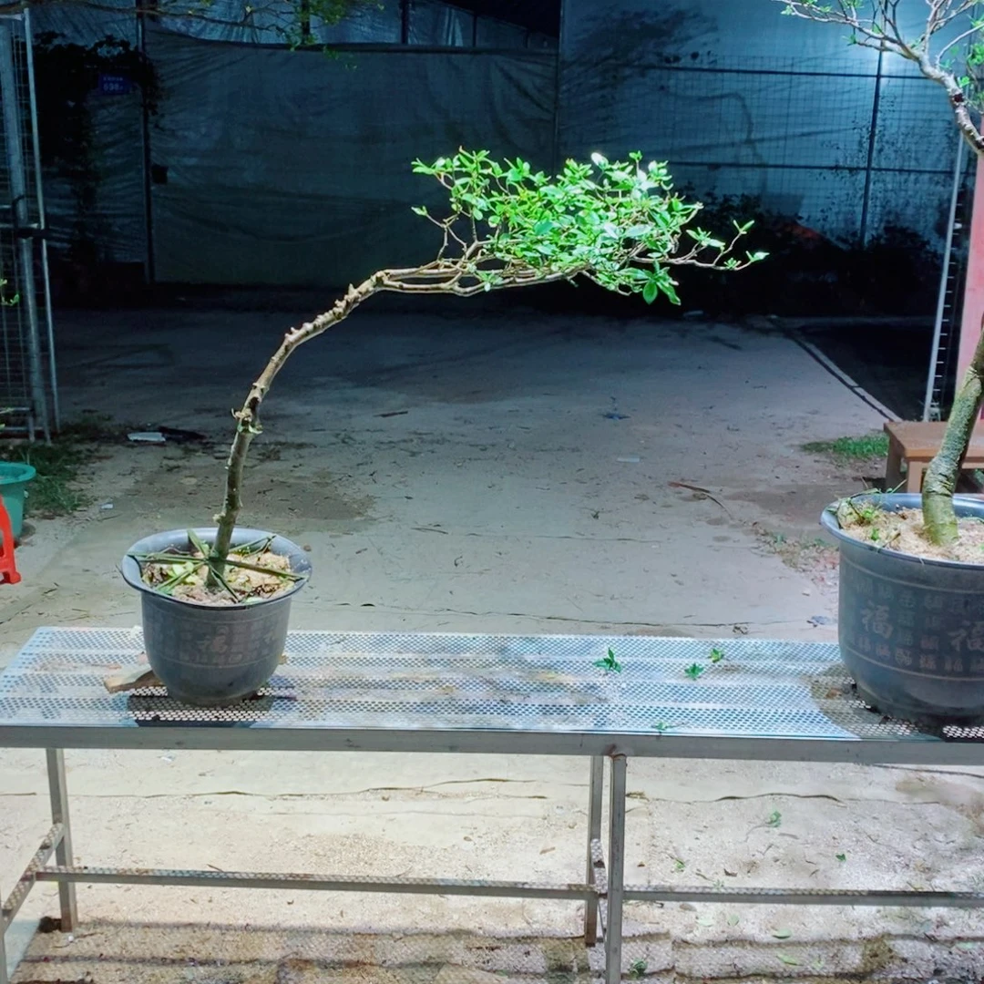 故***居感谢您的支持和配合和帮助