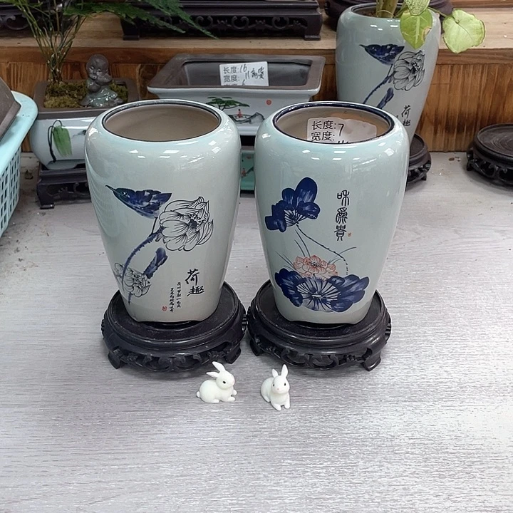 陶瓷花盆福利抢购福利