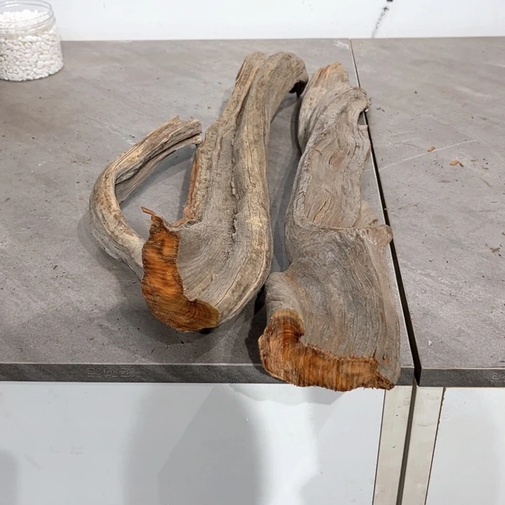 柏***趣香榧木崖柏等自然资源和生态资源丰富