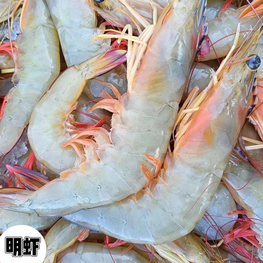 虾白 明虾阳江海鲜海虾（部分带膏）鲜冻海虾宝宝辅食（20~25头/斤）