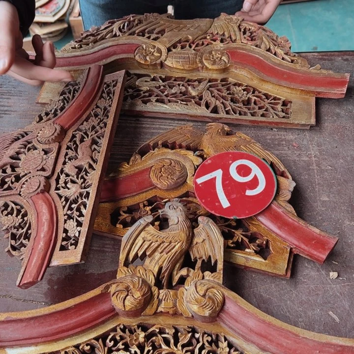 紫砂读后高就很哈哈哈哈遛****！