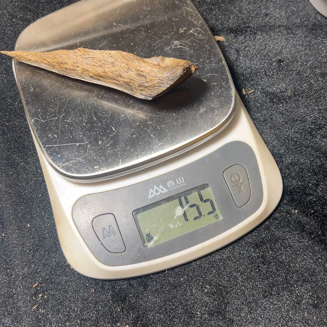 弹***花香榧木树丁15.5克