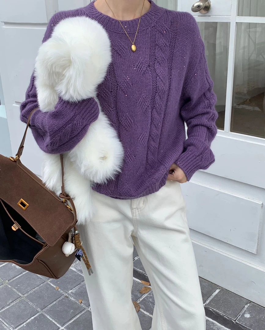 春季休闲风厚款圆领针织毛针织衫针织衫韩版秋冬加绒