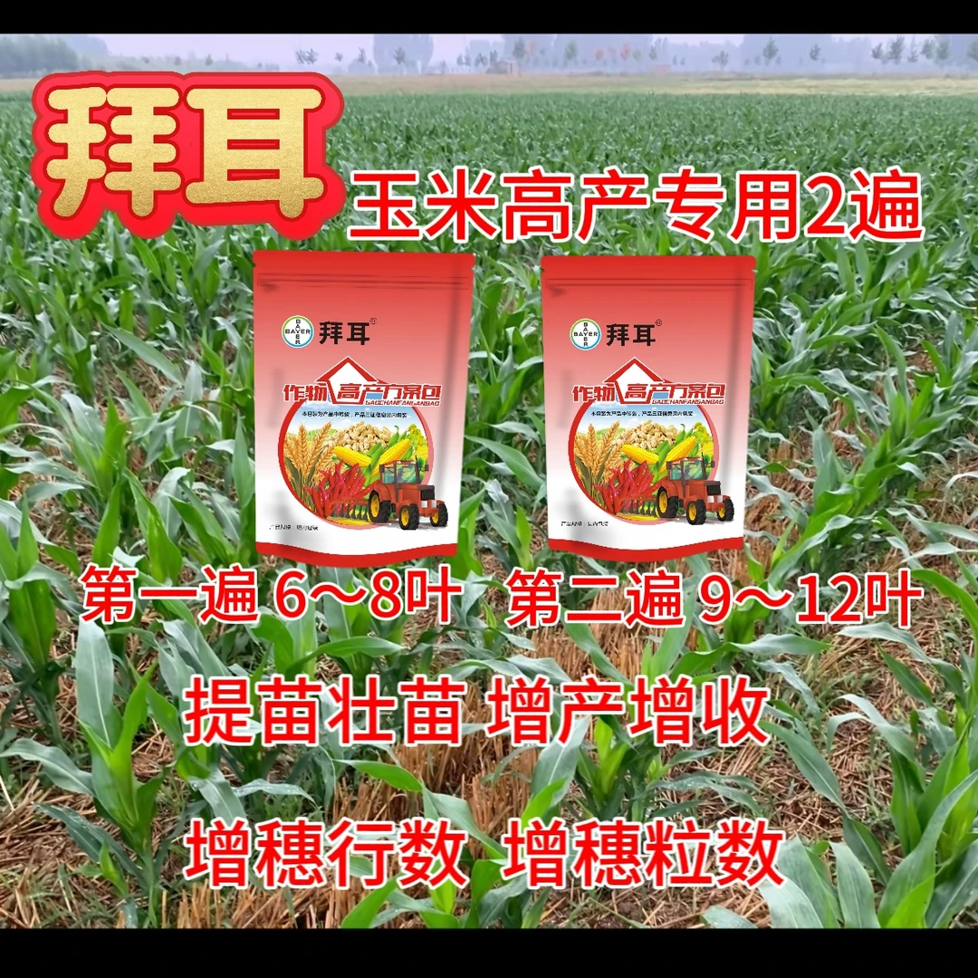 拜耳玉米6-8叶和9-12片叶高产两遍方案